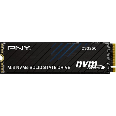PNY CS3250 1TB, M280CS3250-1TB-TB