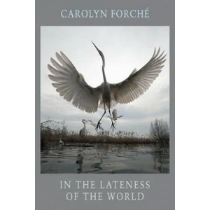In the Lateness of the World | CAROLYN FORCHE (ISBN: 9781852249649)