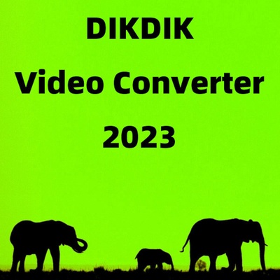 DIKDIK Video Converter 1 zařízení Lifetime Steam Elektronická licence