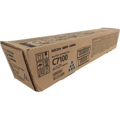 Ricoh 828333 - originálny