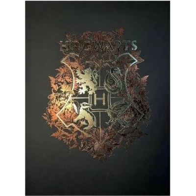 imago Obraz Harry Potter - Znak Bradavic
