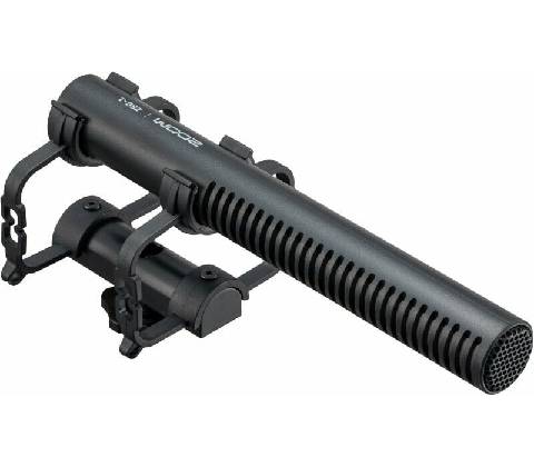 Zoom ZSG-1