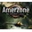 Amerzone: The Explorers Legacy
