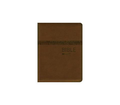 Bible 1291 bronzová
