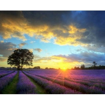 Norimpex - Puzzle Diamant painting: Sun over a lavender field 30x40cm - 1 - 39 piese