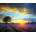 Norimpex - Puzzle Diamant painting: Sun over a lavender field 30x40cm - 1 - 39 piese