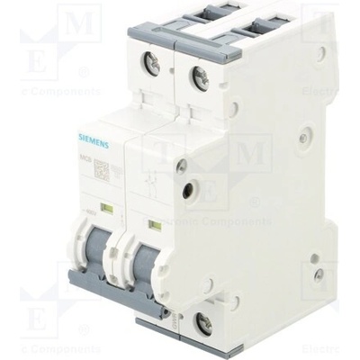 Siemens 4D/2 5SY4204-8 10kA