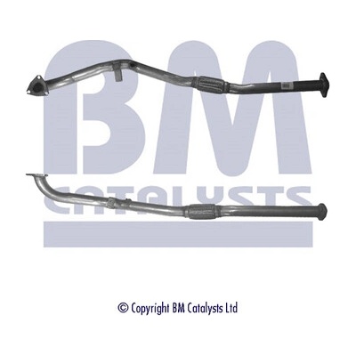 BM CATALYSTS BM50189