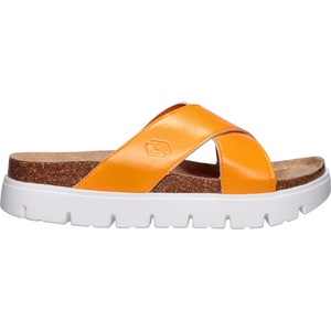 Lotto CRISPA 41