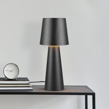 Trio Lighting 562900132