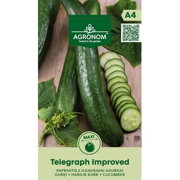 Hortus Краставици Телеграф Подобрени / Telegraph Improved