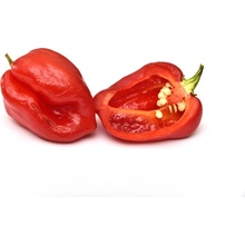 Semínka Piquant Paprička chilli HABANERO ROSSO