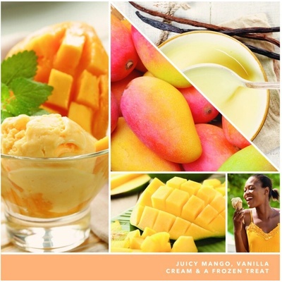 Yankee Candle Mango Ice Cream signature 567 g