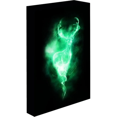 Paladone Svítící obraz Harry Potter - Patronus