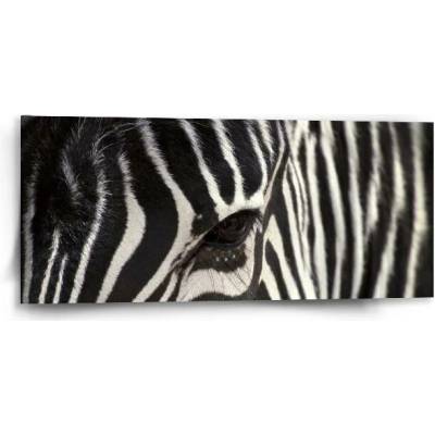 Sablio Obraz Detail zebra - 110x50 cm
