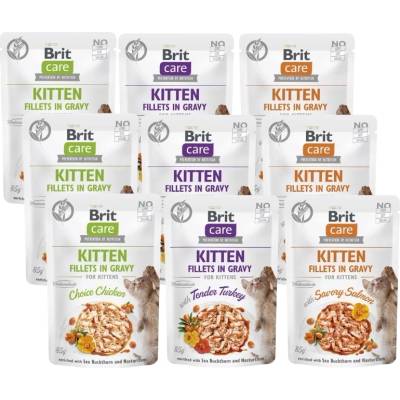 Brit CARE Филе от котешко месо в сос, микс от вкусове с облепиха и капуцина 9x85г