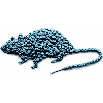 BASF STORM Secure 10 Kg