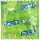 Pasante Mint 1 ks