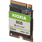 Toshiba KIOXIA 256GB M.2 (KBG50ZNS256G)