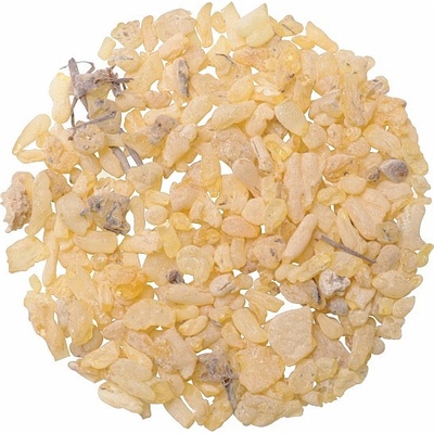 Nefertitis Sandarak pryskyřice NF30672 20 g