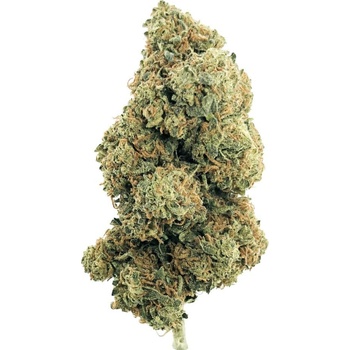 Medusa Hempire CBD Květy Nebula Haze 0,2% THC 3 g