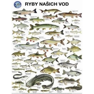 Nejde zaslat do Alza boxů a Gls Boxů !!!!