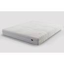 Catalina Dream