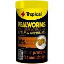 Tropical Meal Worms 100 ml