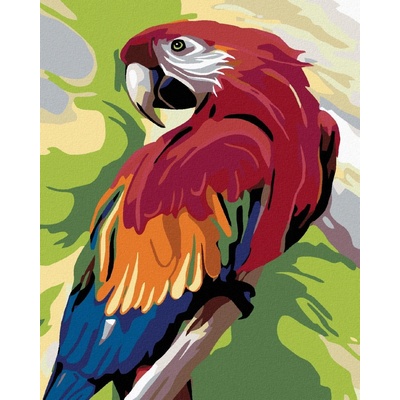 zuty Malování podle čísel Barevný papoušek 40 x 50 cm vypnuté plátno na rám