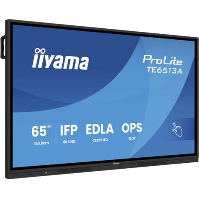 iiyama ProLite TE6513A-B1AG