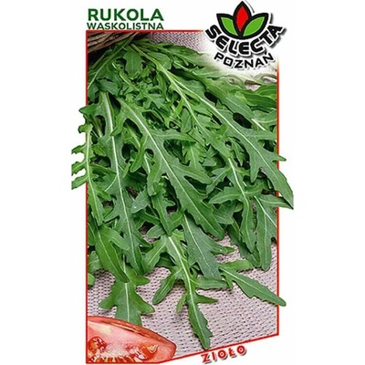 Rukola úzkolistá: Diplotaxis tenuifolia 0,5 g