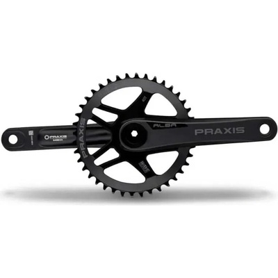 Praxis Alba M30