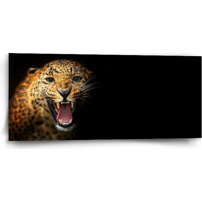 Sablio Obraz Gepard 2 - 110x50 cm