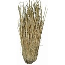 Lucky Reptile Grass Bushes 25-40 cm