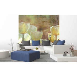 DIMEX ART Флизелинов фототапет абстрактни бели лалета 225 x 250 см