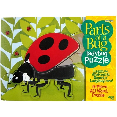 Insect Lore puzzle Lienka 8 dielikov