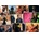 Trefl - Puzzle Wicked: Movie Stills - 1 000 piese