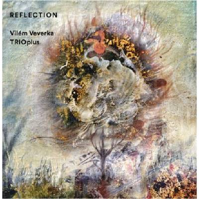 VEVERKA VILEM - REFLECTION CD