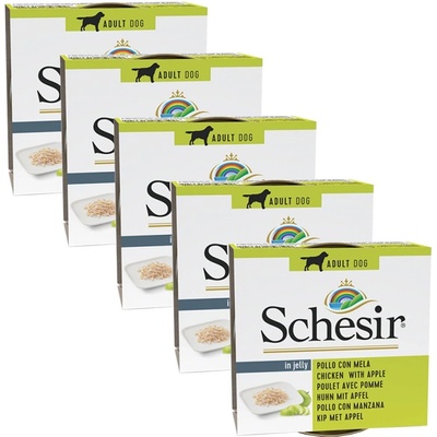 Schesir Dog Adult kuracie s jablkom 5 x 150 g