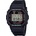 Casio DW-5600RL-1