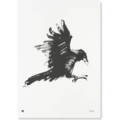 Teemu Järvi Plakát s motivem havrana Raven 50x70