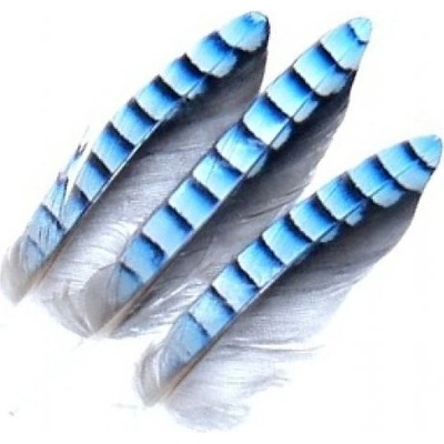 Veniard Jay Wing Hackles Sojčí pírka