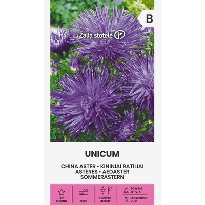 Seklos Астри Лилави Игловидни Уникум Callistephus chinensis L Ness Unicum