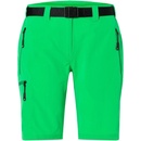 James and Nicholson Kapradinová