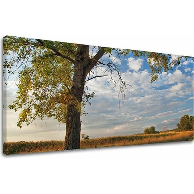 Obraz na stenu PANORÁMA STROMY - 40x80 cm
