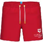 arena Graphic beach short m