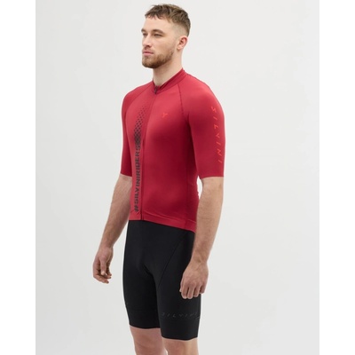 Silvini MD2424 Mazzano merlot-ruby