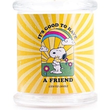 PEANUTS A Friend 250 g