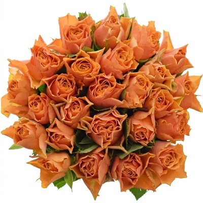 Kytice 25 oranžových růží ARANCIO 60cm