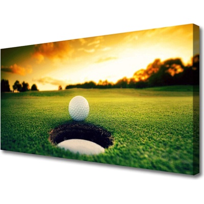 Obraz na plátně Golfový Míček Tráva Příroda 100x50 cm